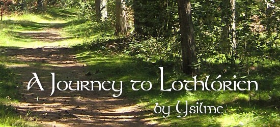 Story Banner with Forest Path