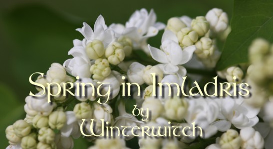 Title banner showing a white lilac opening his buds