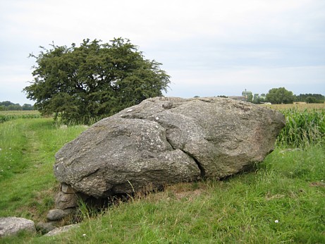 Megalithic gravesite with ancient hawthorne